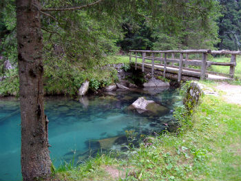 Fra acque e boschi vicino a Madonna di Campiglio, la Val Nambrone