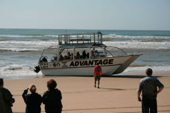 Hermanus in Sudafrica, il luogo ideale per vedere le balene (whale watching)