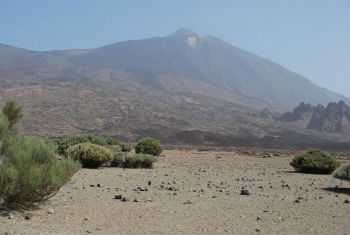 Tenerife, 5 idee per escursioni giornaliere sull’isola