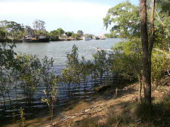 Boondall Wetlands Reserve, riserva naturale a due passi da Brisbane