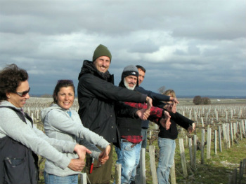 A scuola di potatura, tra le vigne del Friuli