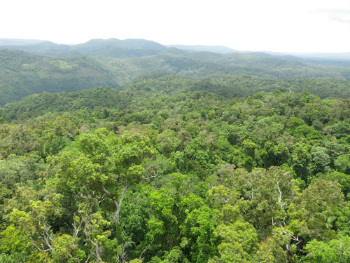 Appunti di Viaggio dal Nord Queensland – Skyrail Rainforest Cableway