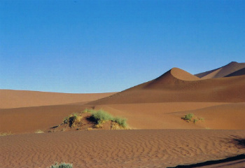 Namibia e deserto ovvero Namib Desert Park
