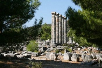 Visitiamo i siti di Priene, Mileto e Didyma in Turchia