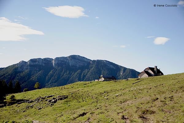 Asiago altopiano