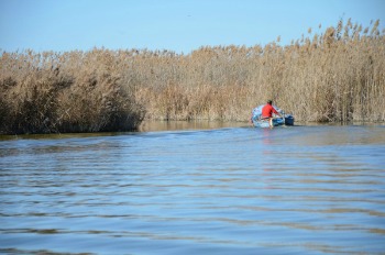 #12hValencia: la natura dell’Albufera e dell’Oceànografic