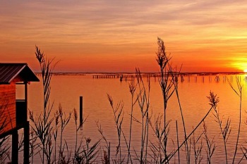 Il Parco del Delta del Po, viaggio in un’oasi naturalistica ricca di bellezza e attività