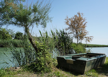 12 Motivi per andare in vacanza a Caorle