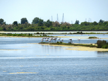 Vacanza a Grado, la pace nella laguna