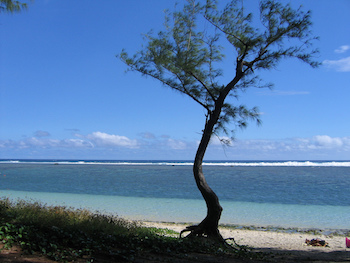 Altro sogno di viaggio: l’isola della Réunion e i suoi spettacoli naturali